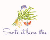 blogsantebienetre.fr